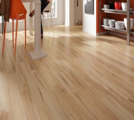 Laminant Parke